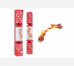 Christmas Cracker hond