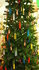 Kweek zelf uw kerstboom._